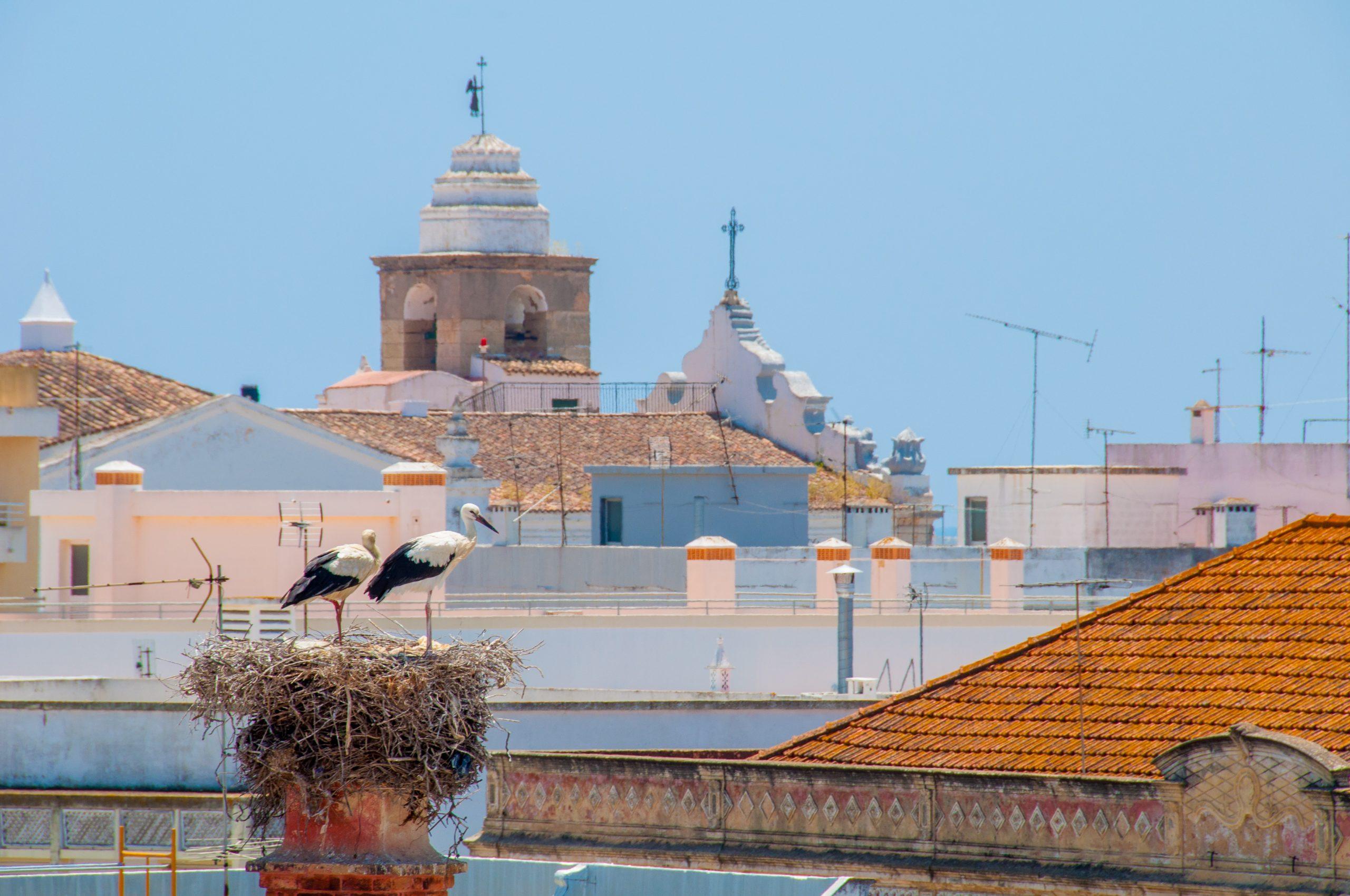 Hotel Cidade De Olhao Luaran gambar